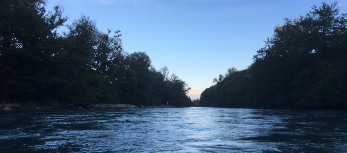 PETER KAISER – interkulturelle Beratung und mehr